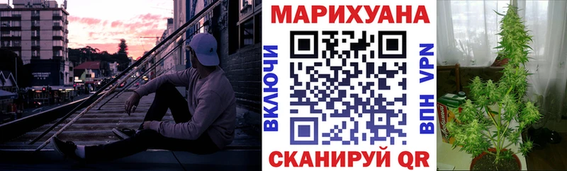 darknet наркотические препараты  Мурманск  Конопля семена 